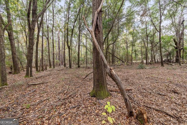 510 Sisters Ferry Road, Clyo, GA 31303