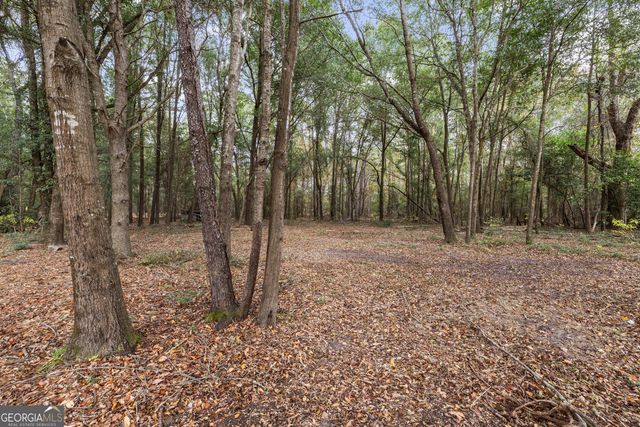 510 Sisters Ferry Road, Clyo, GA 31303