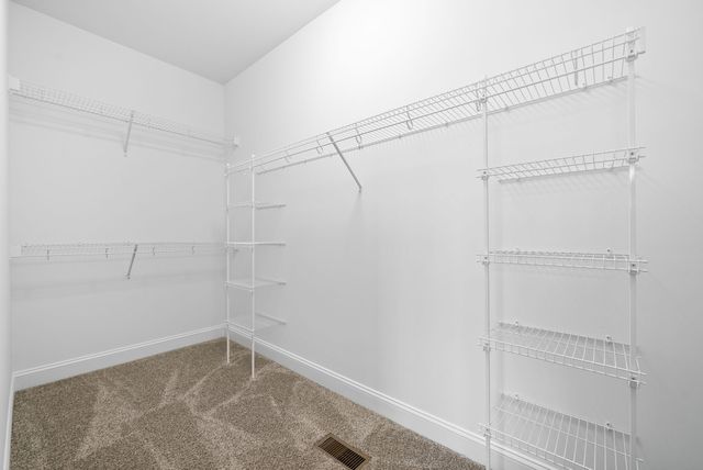 228 Birnam Wood Trce, Clarksville, TN 37043