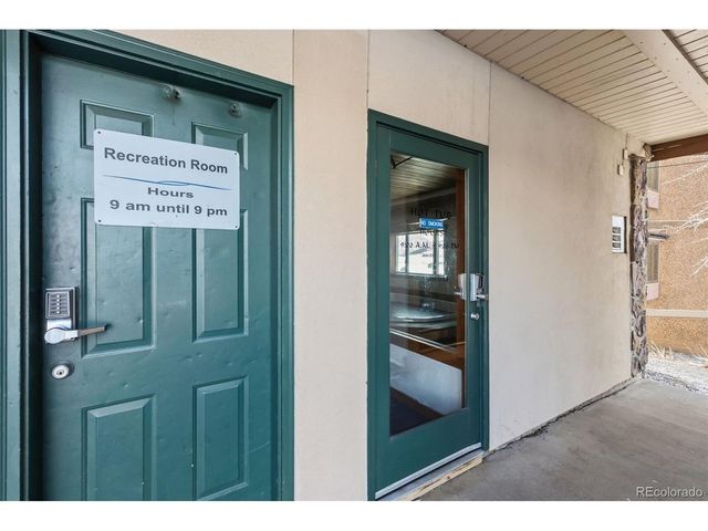 401 W La Bonte St 202, Dillon, CO 80435