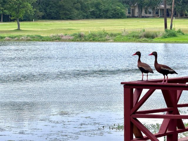 41 Bluebird Lane, Trinity, TX 75862