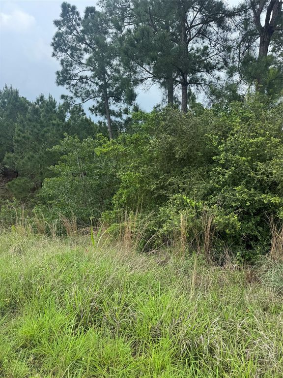 Lots 1612, 1613, 1614 Kaanapali LN, Bastrop, TX 78602