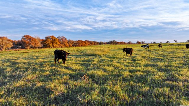 TBD S State Hwy 123, Seguin, TX 78155