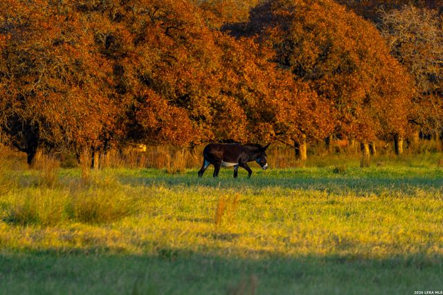 TBD S State Hwy 123, Seguin, TX 78155