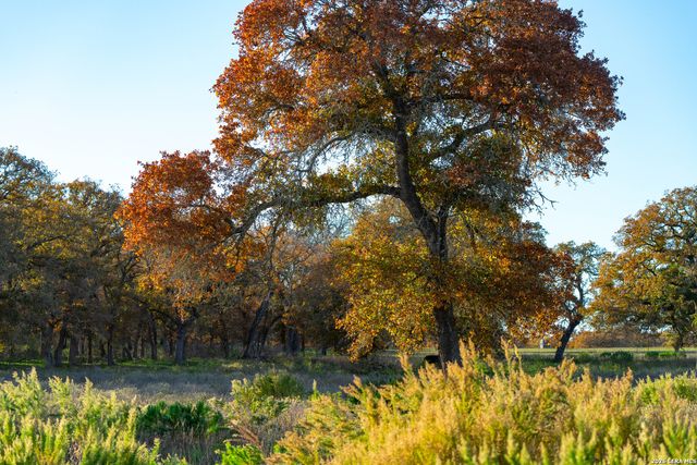 TBD S State Hwy 123, Seguin, TX 78155