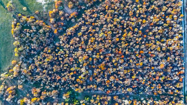 TBD S State Hwy 123, Seguin, TX 78155