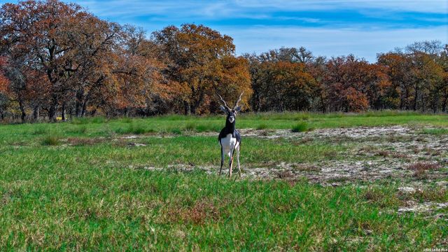 TBD S State Hwy 123, Seguin, TX 78155