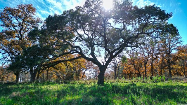 TBD S State Hwy 123, Seguin, TX 78155