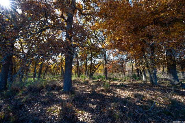 TBD S State Hwy 123, Seguin, TX 78155