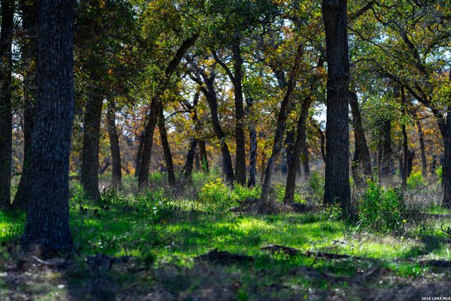 TBD S State Hwy 123, Seguin, TX 78155