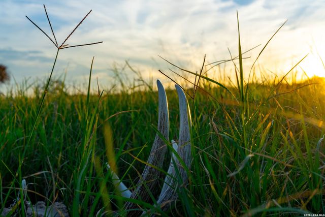 TBD S State Hwy 123, Seguin, TX 78155