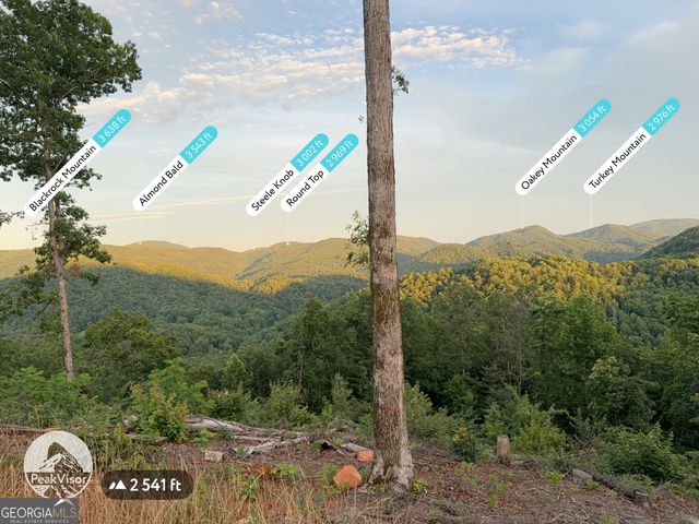 TRACTS 8,9,10,1 Briarwood Lane THE VISTA AT GEORGIA HEIG, Clayton, GA 30525
