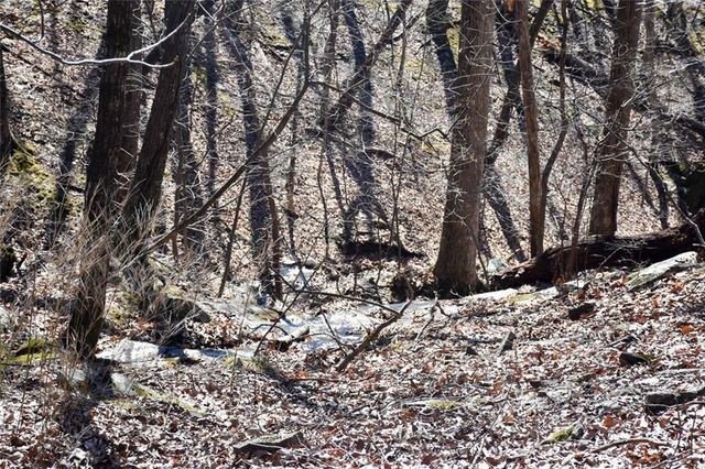 716 Moss Patch Trail, Jasper, GA 30143