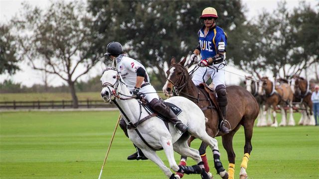 17710 CANTARINA COVE, Bradenton, FL 34211