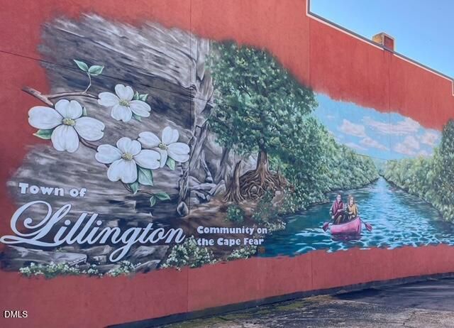 1003 Summerville Mamers Road Road, Lillington, NC 27546