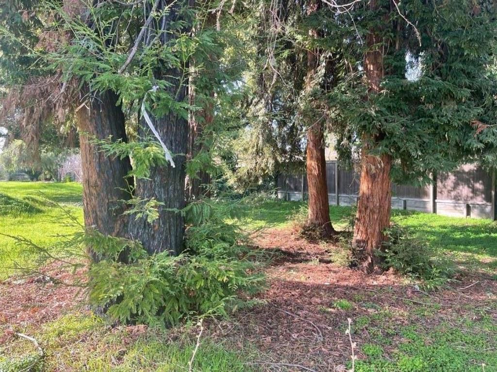 Image 6 of property listing at 28538 Huntwood Avenue, Hayward, CA 94544