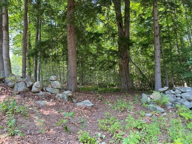 96 Nelson Hill Road, Sutton, NH 03221