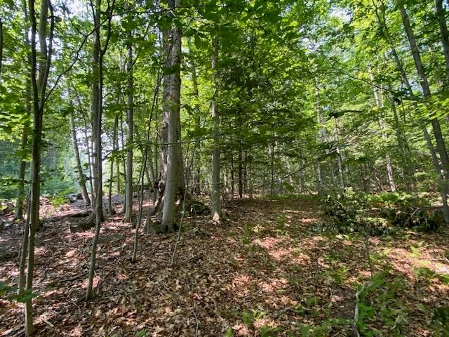 96 Nelson Hill Road, Sutton, NH 03221
