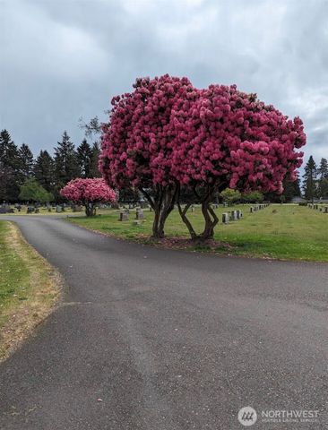 1113 Caveness Drive, Centralia, WA 98531