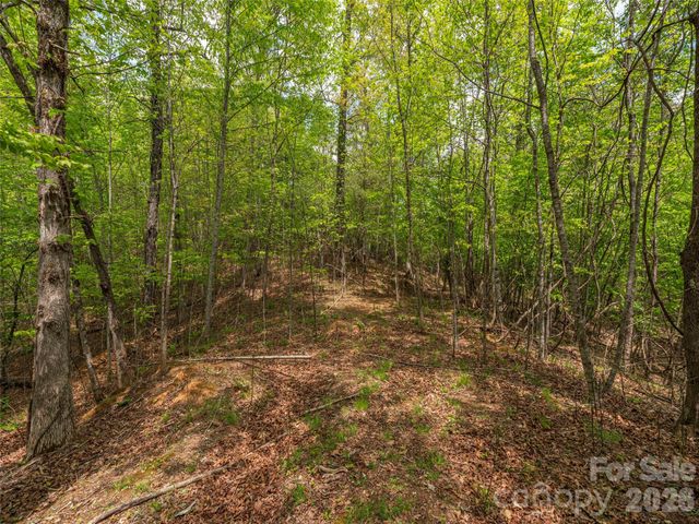 000 Caney Fork Road, Cullowhee, NC 28723