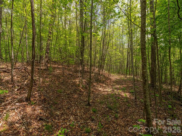 000 Caney Fork Road, Cullowhee, NC 28723