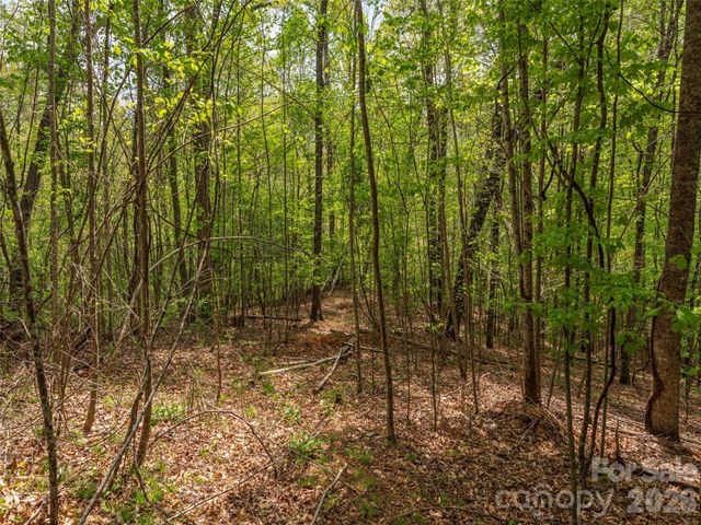 000 Caney Fork Road, Cullowhee, NC 28723