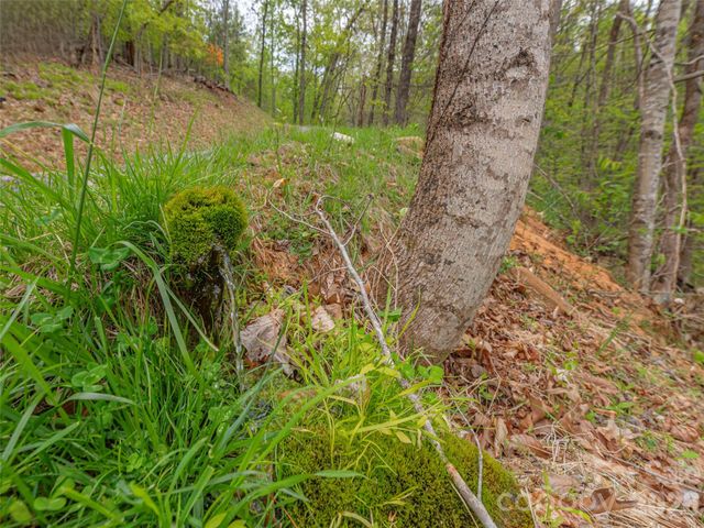 000 Caney Fork Road, Cullowhee, NC 28723