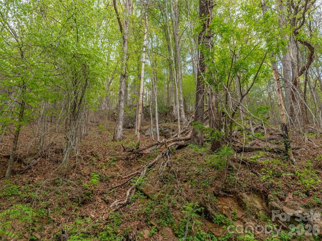 000 Caney Fork Road, Cullowhee, NC 28723
