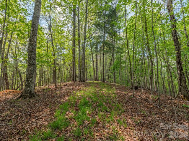 000 Caney Fork Road, Cullowhee, NC 28723