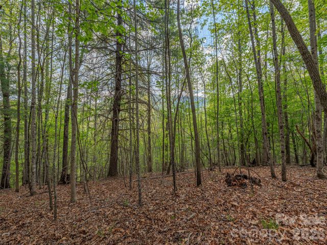 000 Caney Fork Road, Cullowhee, NC 28723