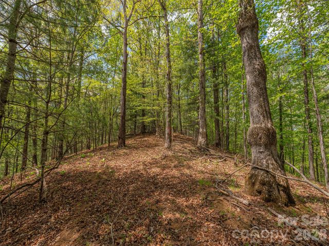 000 Caney Fork Road, Cullowhee, NC 28723
