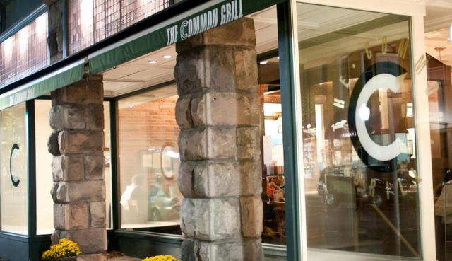 859 Greystone Drive 13, Chelsea, MI 48118