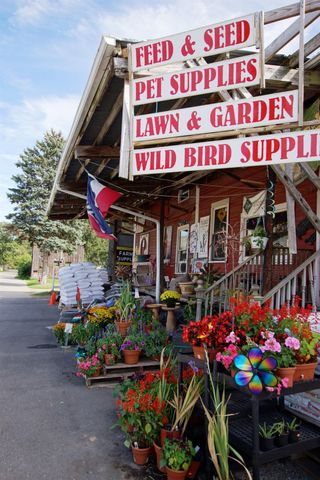 859 Greystone Drive 13, Chelsea, MI 48118