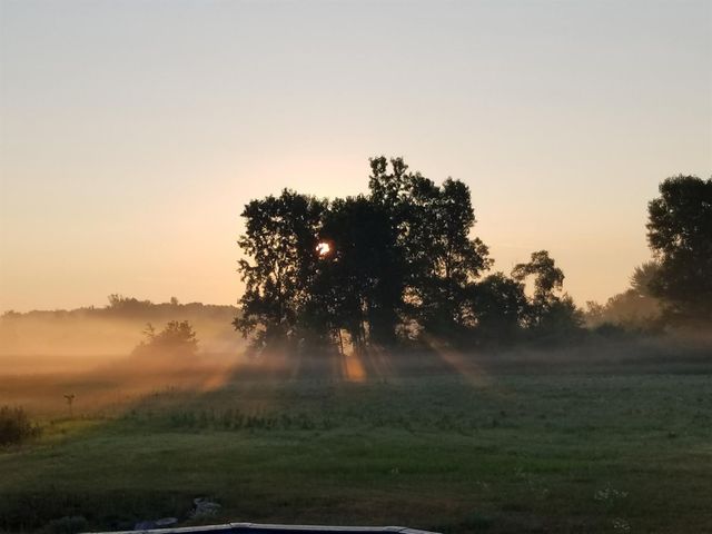 859 Greystone Drive 13, Chelsea, MI 48118