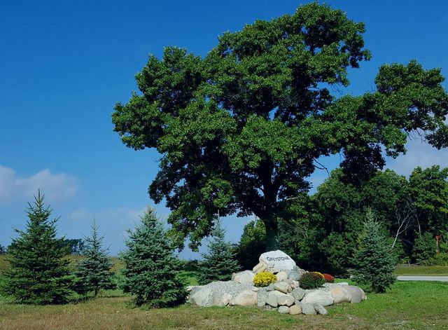 859 Greystone Drive 13, Chelsea, MI 48118