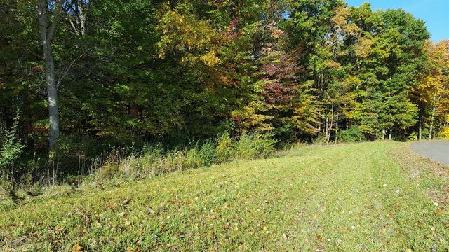 859 Greystone Drive 13, Chelsea, MI 48118