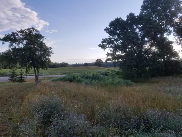 859 Greystone Drive 13, Chelsea, MI 48118