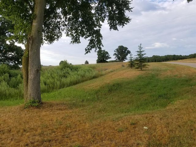 859 Greystone Drive 13, Chelsea, MI 48118