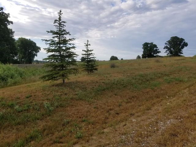 859 Greystone Drive 13, Chelsea, MI 48118