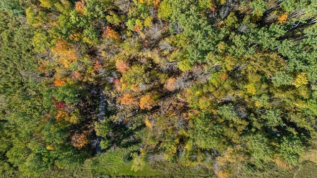 29606 E Bass Lake Road, Grand Rapids, MN 55744