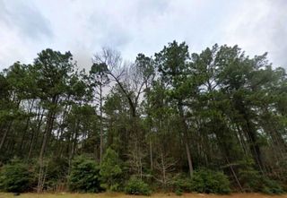 168 Rock Ranch Drive, New Waverly, TX 77358