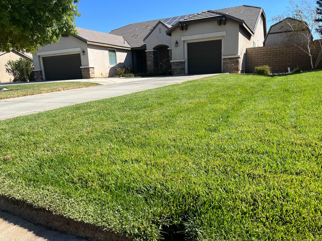 41530 Yew Street, Lancaster, CA 93536