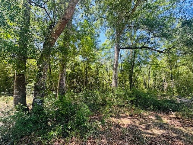 93 Brock Road, Tylertown, MS 39667