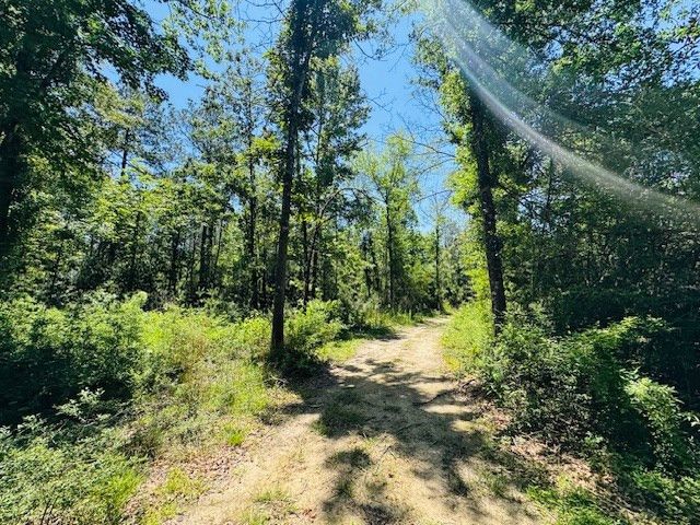93 Brock Road, Tylertown, MS 39667