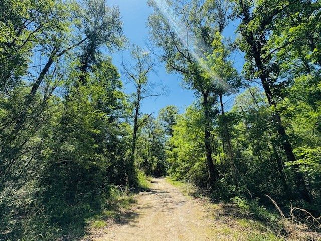 93 Brock Road, Tylertown, MS 39667
