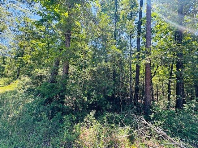 93 Brock Road, Tylertown, MS 39667