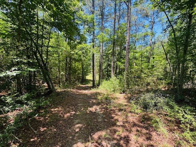 93 Brock Road, Tylertown, MS 39667