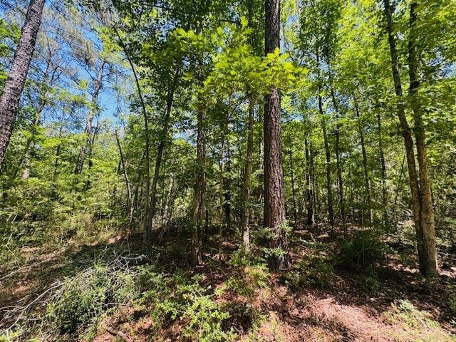 93 Brock Road, Tylertown, MS 39667