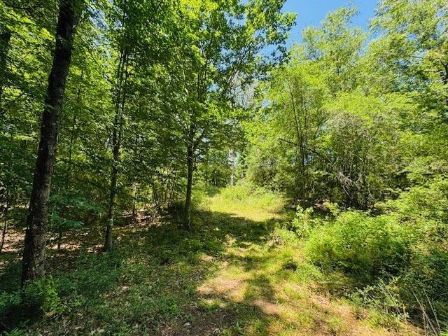 93 Brock Road, Tylertown, MS 39667