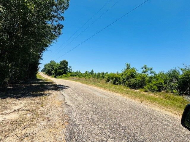 93 Brock Road, Tylertown, MS 39667